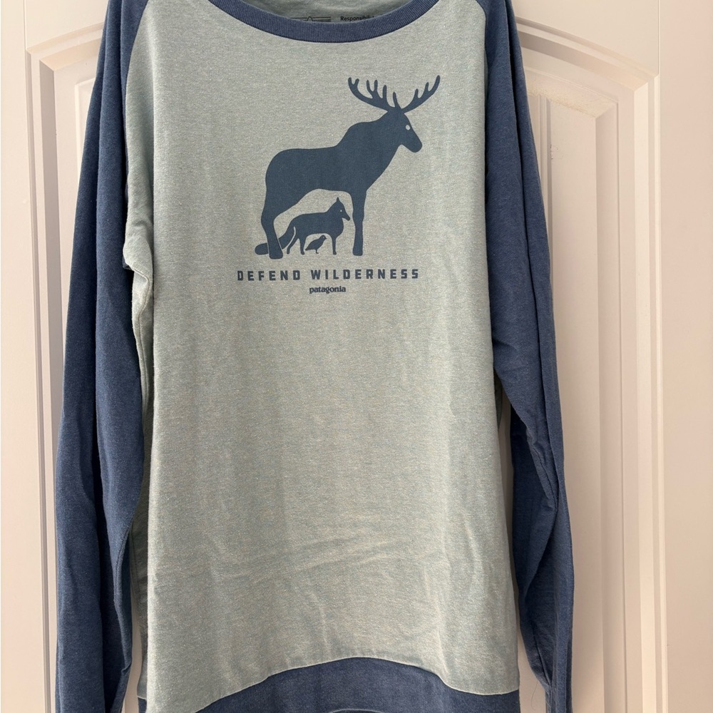 Patagonia Women's Blue and light blue Wilderness Tee